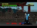 Mortal Kombat Moves Sub Zero Finishing Move