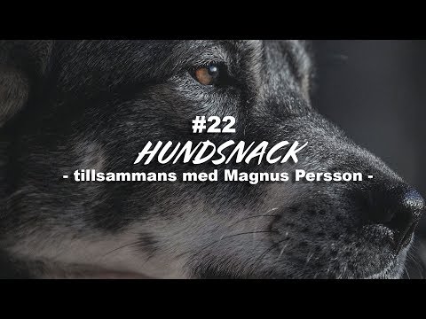 Hundsnack tillsammans med PN Jakt och Magnus Persson
