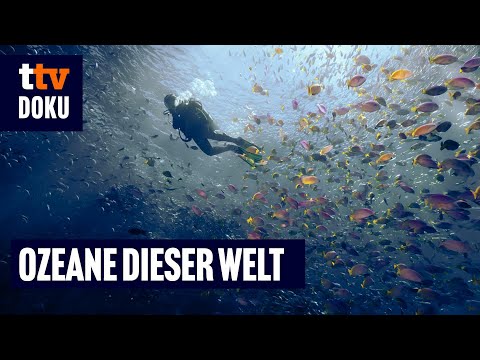 Ozeane dieser Welt – The best of Undersea Explorer [Teil 1] (Doku auf Deutsch in voller Länge)
