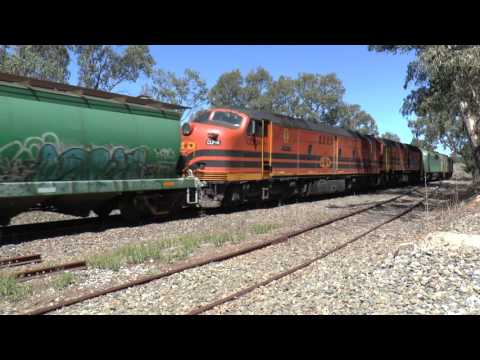 Loxton Grain Train at Balhannah with GM46 GM38 2212 and CLP14 21/01/2015