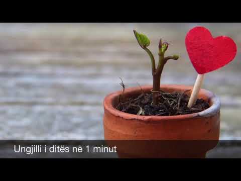 Ungjilli i ditës në 1 minut. Kujdes me egoizmin, sepse thanë rrajën e farës së mirë!