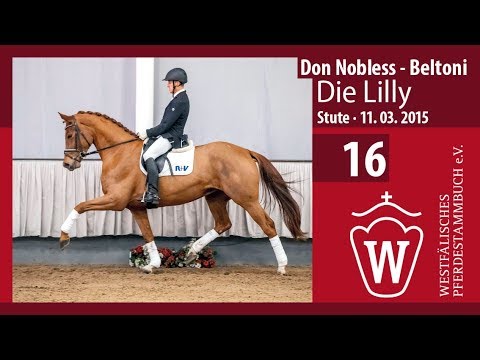 16 Die Lilly Stute v. Don Nobless - Beltoni
