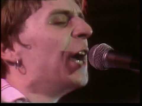 Hansi Lang (Ohne Maulkorb 1981)