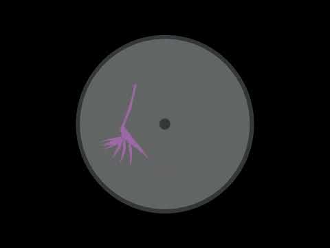 Zenk - Nairobi Market (Ted Amber Remix) [PRP017]