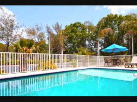 Holiday Inn wesley chapel