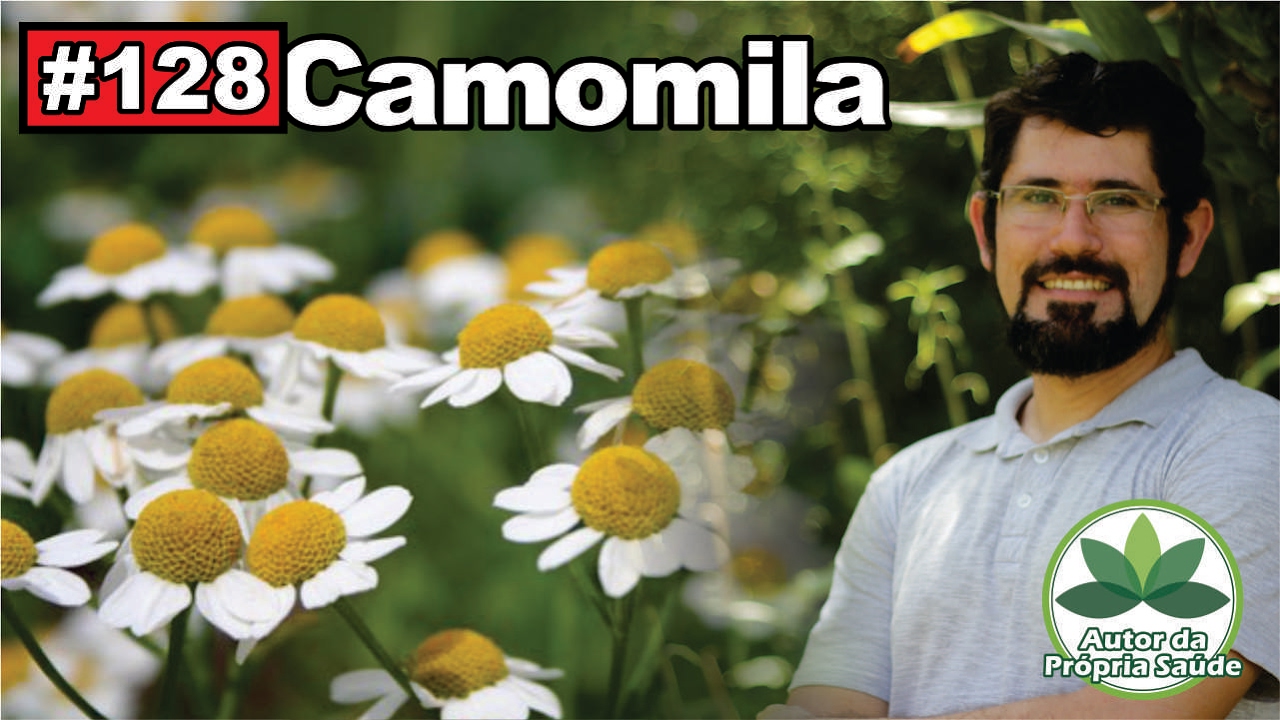 Autor da própria Saúde - Camomila [calmante, analgésico, cólicas, cicatrizante, diabetes]