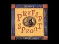 Prefab Sprout   I Remember That