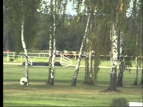 LL, 3. 10. 2015, 7. dostih - HANDICAP SPOLEČNOSTI K4K HOLDING