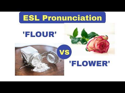 Pronunciation of 'Flour' vs 'Flower'