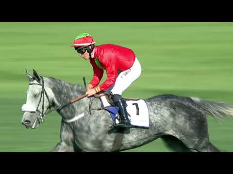 10. 10. 2021 - 6. dostih - Cena firmy Chládek a Tintěra, Pardubice a.s. – Cena Labe