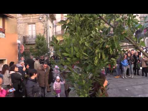 Processione dell'alloro - Festeggiamenti San Sebastiano Martire gennaio 2015