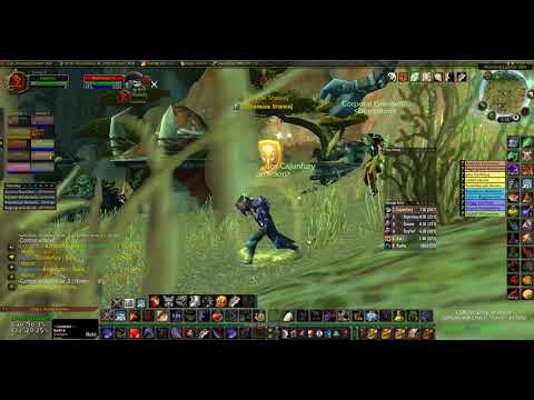 Classic wow warrior wsg