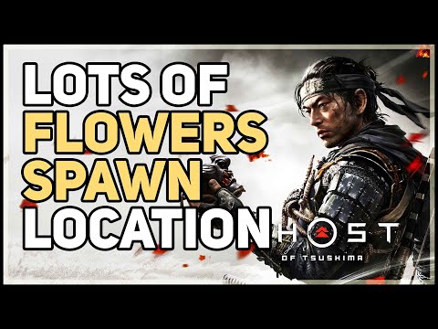 Flowers Ghost of Tsushima Spawn Location
