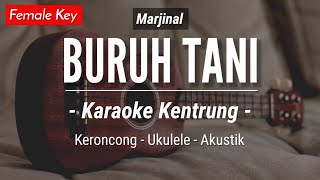 Download lagu Buruh Tani (KARAOKE KENTRUNG) - Marjinal (Karaoke Akustik | Keroncong | Ukulele) mp3
