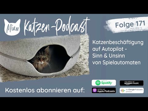 #171 Katzenbeschäftigung auf Autopilot - Sinn & Unsinn von Spielautomaten | Miau Katzen-Podcast