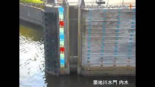 築地川水門 内水側
