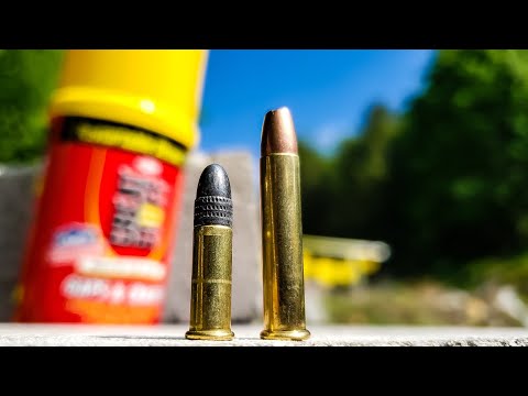 22lr vs 22 magnum - GREAT STUFF