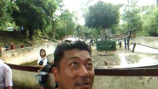 preview picture of video 'アキーラさんお薦め！ミャンマー・ヤンゴン動物園・激ヤバ猿！Yangon-Zoo'