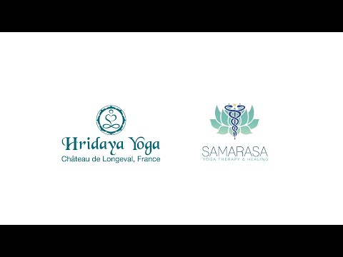 PRESENTATION: Yoga Therapy Immersion