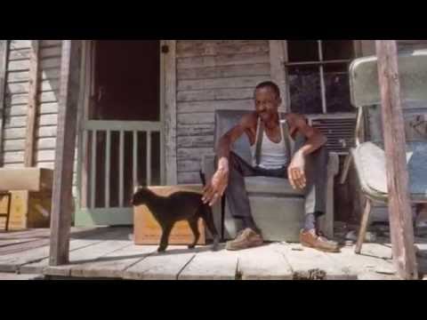 Johnny B. Moore    ~      ''Rockin' In The Same Old Boat'' 2003