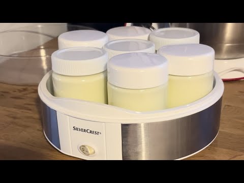 Lidl Joghurtbereiter / Joghurt selbst machen mit Maschine