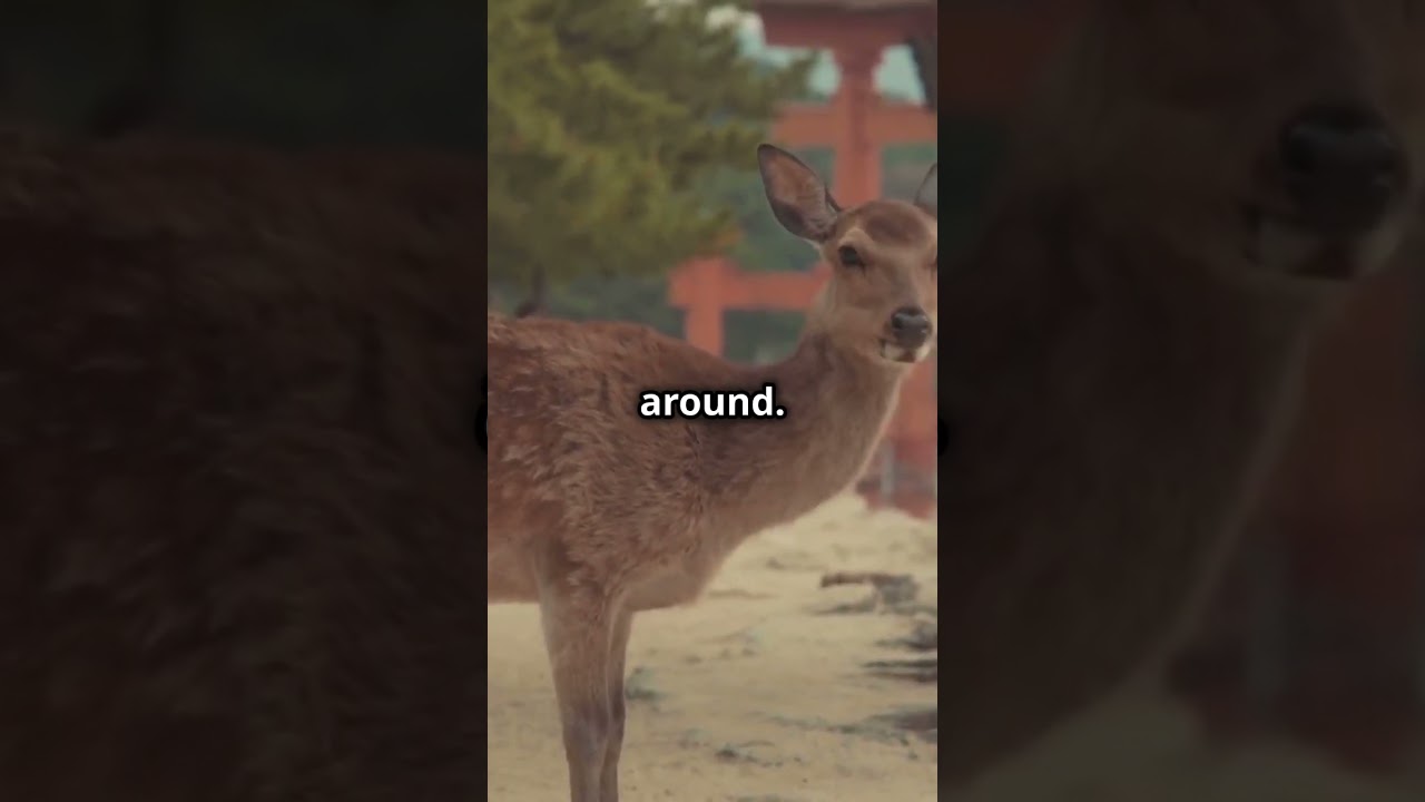 YouTube Short thumbnail