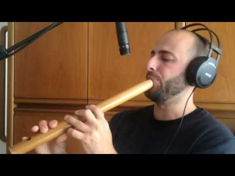 Camino de llamas - Quena