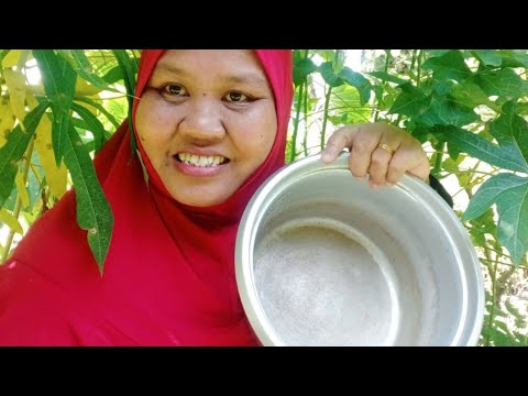 tip Dan petua agar nasi tak lagi mudah basi