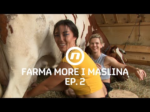 Maja i Dora u sijenu - Epizoda 2 | Farma More i Maslina