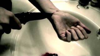 The Garden Music Video - Mirah