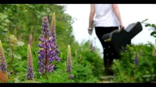 Misguided Ghosts - Paramore (music video)