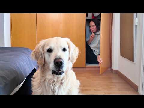YouTube 썸네일
