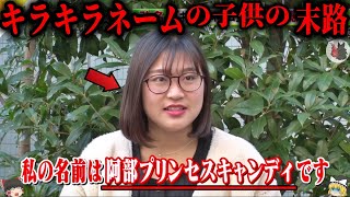【ゆっくり解説】キラキラネームを名付けられた子供の末路7選【DQNネーム】