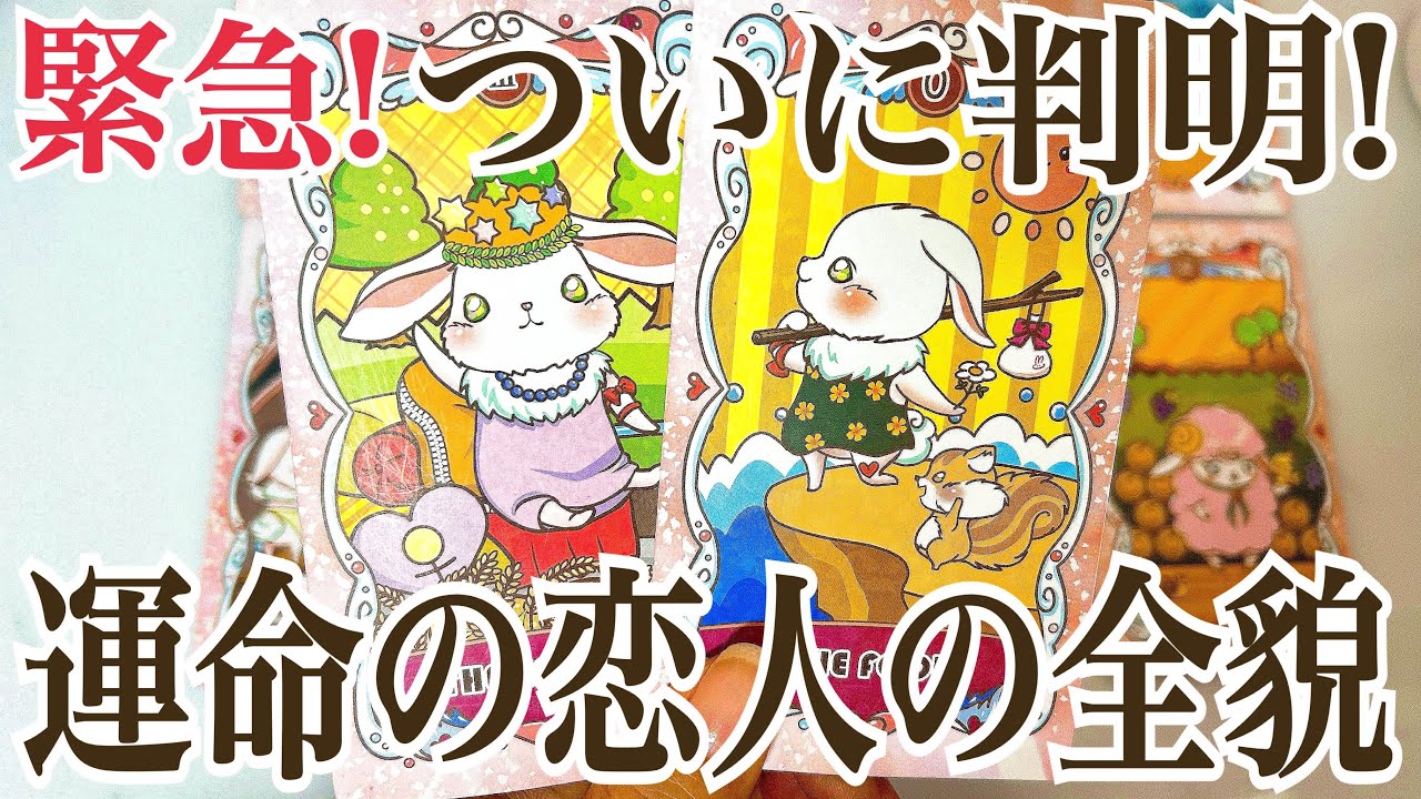 【緊急‼️運命の恋人の全貌大公開‼️】あなたの運命の恋人はこの人です💞