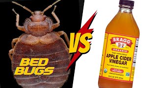 Does Vinegar REALLY work for Bed Bugs?  [COMPLETE Tutorial]