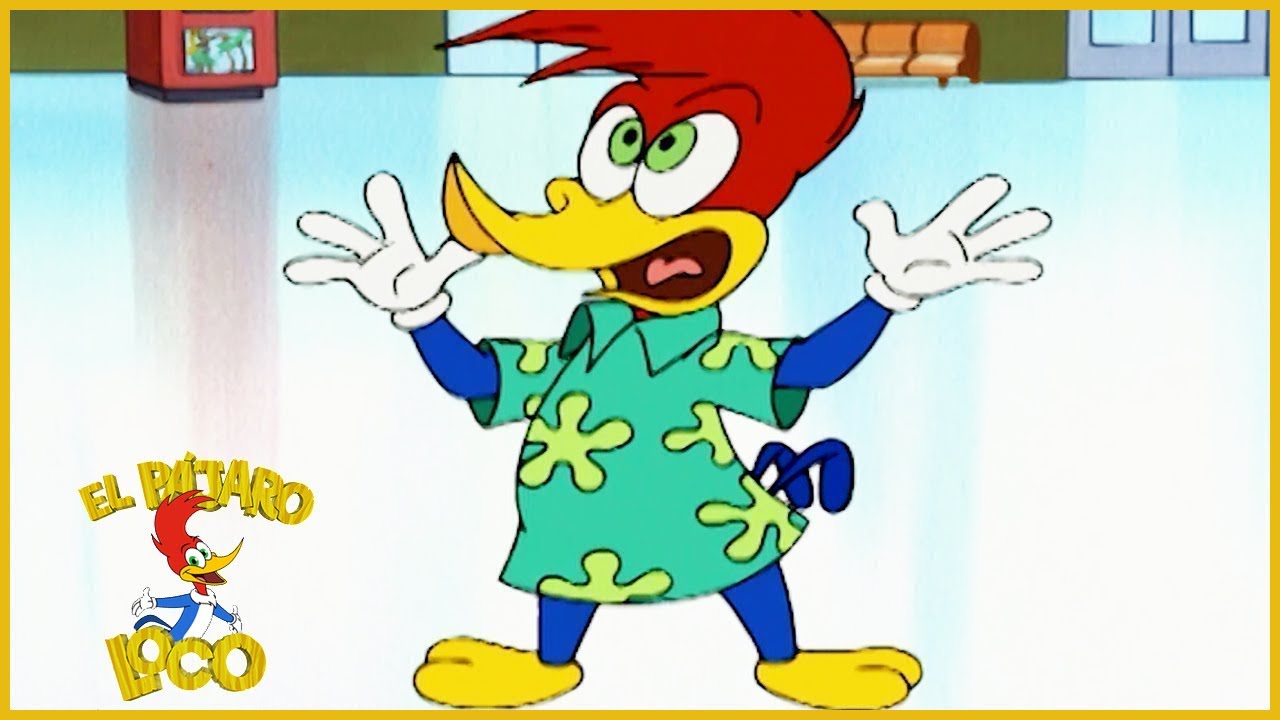El Pájaro Loco en Español | 1 Hora de Compilación | Dibujos Animados en Español