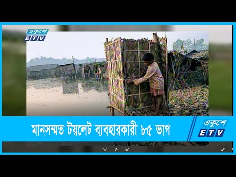 প্রায় শতাভাগ মানুষ শৌচাগার ব্যবহার করছেন