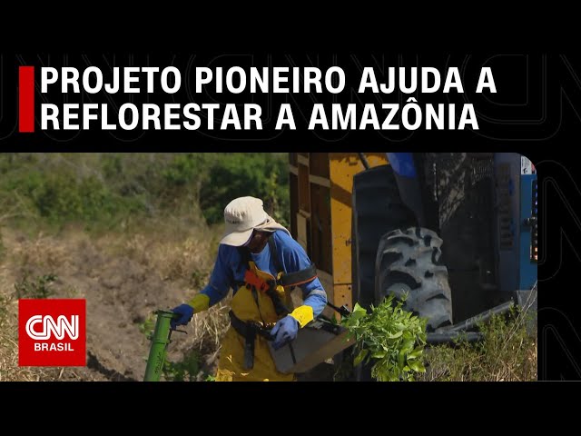 Startup brasileira ajuda a reflorestar a Amazônia | CNN PRIME TIME