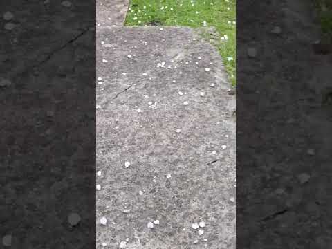 Απίστευτη ισχυρή χαλαζόπτωση στο San Francisco στην Córdoba της Αργεντινής 15-11-25 ⛈️⛈️😲😳.