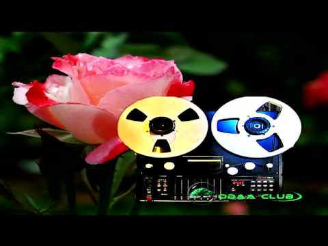 Oromo Music Josepo Misheell 1