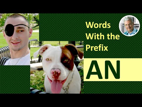 Words With The Prefix AN (6 Illustrated Examples)