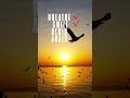 Good Morning Goodmorning Shorts Reels Motivation Happy Happyday Cool Trending