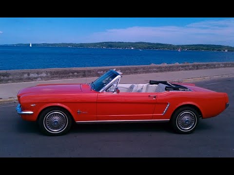 1964 Ford Mustang (CC-1350669) for sale in Tampa, Florida