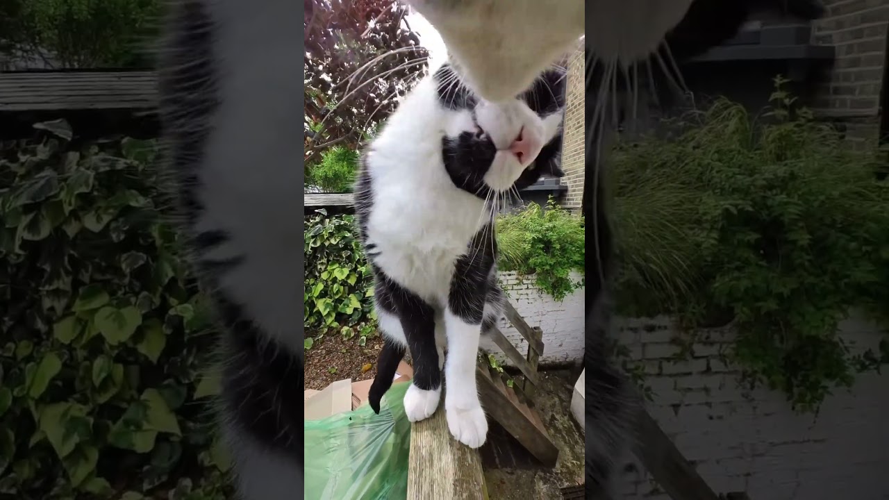 ��������� ����� �� ����� - ��� ������ ����