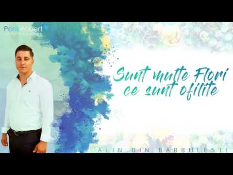 Alin din barbulesti -/ colaj 2019