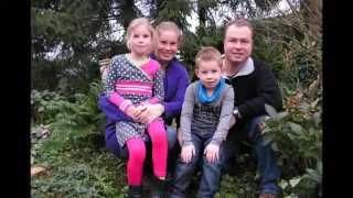 the common linnets - love goes on