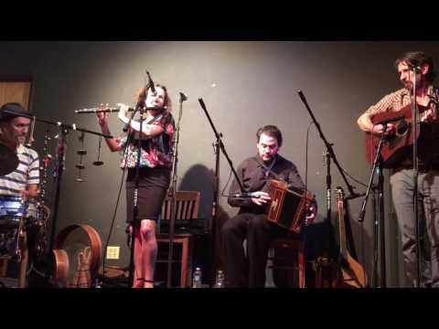 Nuala Kennedy Band at Boulevard Music in Culver City, CA on August 6. 2016