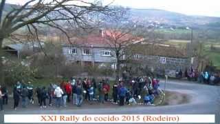 preview picture of video 'rally do cocido 2015 rodeiro suspendido accidente leboro'