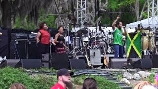 Ziggy Marley - Black Cat (Wanee 2014)