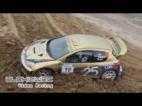 PURE ENGINE SOUND | Rally Legend San Marino 2015 [HD]